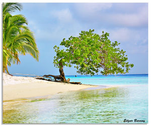 Cayo Sombrero, Morrocoy, Venezuela