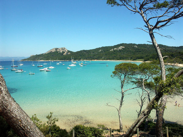 Plage de Notre Dame, Porquerolles