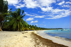 Saona Island