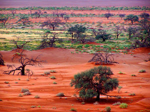 Sossusvlei Landscape