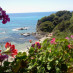 Zelené rozkvetlé Korfu – ideální místo pro dovolenou